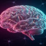 Creatina e a Função Cerebral
